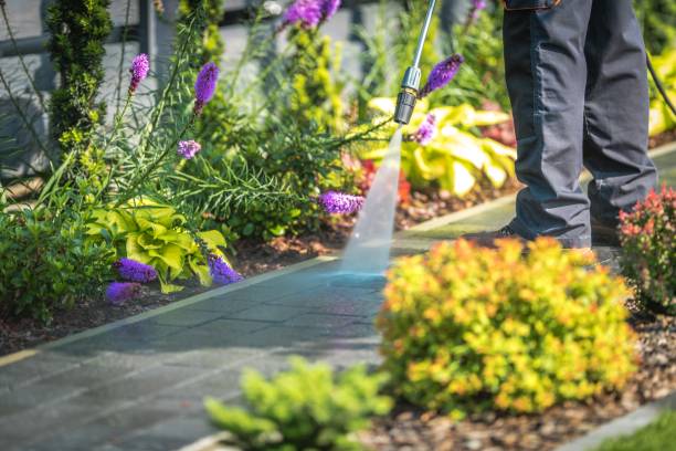 Best Fence Cleaning  in Sheridan, AR